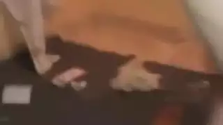 نيك شرموطه مغربيه بطيز مقاطع الفيديو