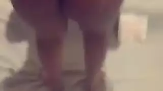 الحمار الكبير العربي هو الرقص