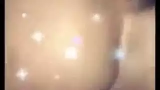 الديك العربي الكبير المسلم