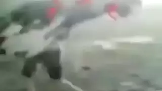 الديك الأسود العربي