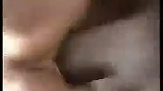 مفلس ، الشعر الأحمر سبكس شاذه كس حفر بواسطة الديك الأبيض