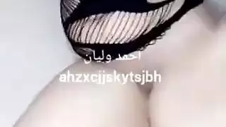 الحمار العربي ستة