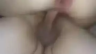 الديك التركي الكبير