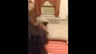 سونيا تمتص ديك أبيض غني