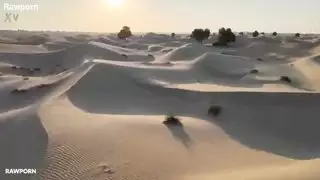 ليندا ديل سول الليالي العربية