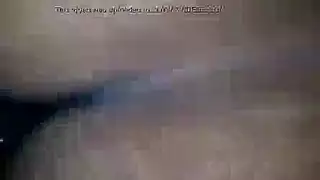 الديك الأسود الكبير يعشق هذا الأبنوس قبل البلع