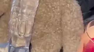 غريب الغذاء الإباحية صنم الاستمناء هواة العربية سنو وايت المتطرفة السعودية مسلمة فتاة