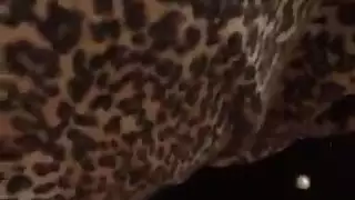 اللسان الحجاب التركي