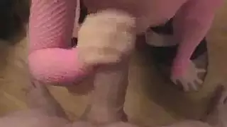 سكسهولندا سكس