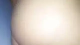ق الحمار العربي و كس كبير