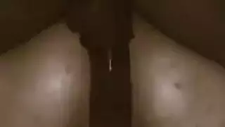 هي مثل في الحمار العربي