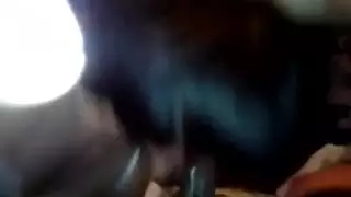 سونيا مص الديك الأسود السمين