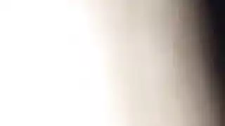 الحمار العربي