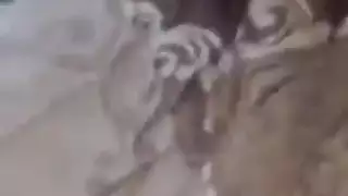 فتاة تسقط سراويلها الداخلية لحبيبها التركي