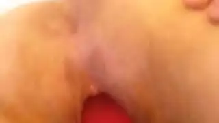 سخيف كس بلدي والأحمق مع لعبة