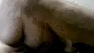 التركية