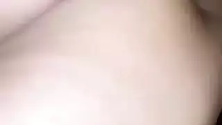 الجنس العربي مصر الحمار الكبير شارموتا
