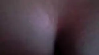 اللاتينية / العربية الديك