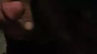 فروج تركي