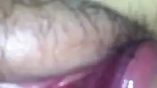 قصص سكس نيك نساء مع مجانين