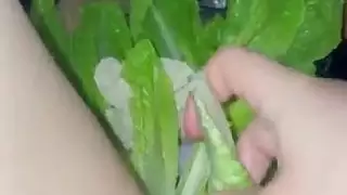 الدجاج والخضروات في بلدي العذراء في سن المراهقة جميلة سنة الرطب مثير الهواة الغذاء الولايات المتحدة الأمريكية